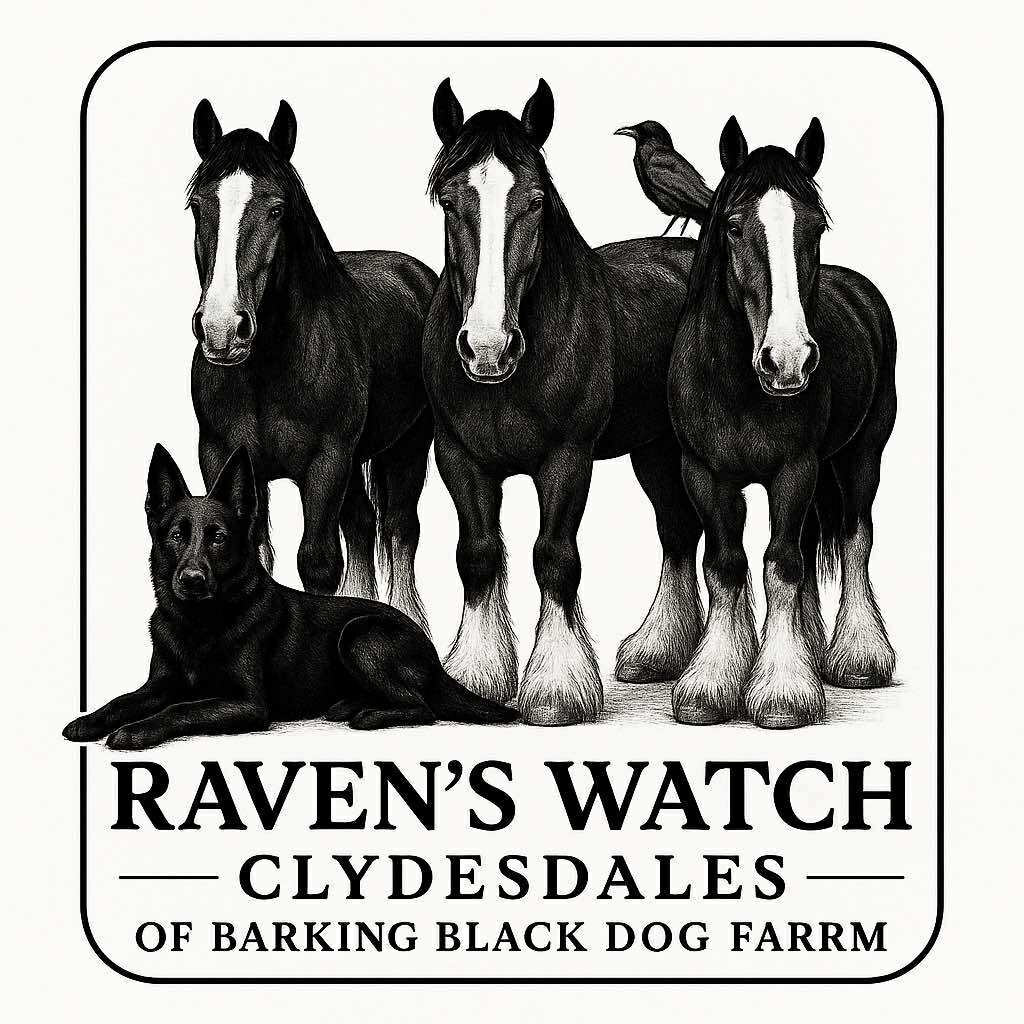Raven’s Watch Clydesdales of Barking Black Dog Farm logo